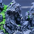 Black Seiryu Stone 5kg - Akvaryum Dekorasyon Kayası