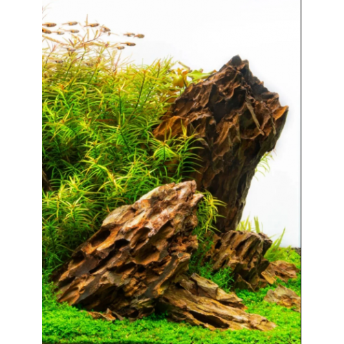 İthal Dragon Stone (Ohko Stone) 5kg - Akvaryum Dekorasyon Kayası