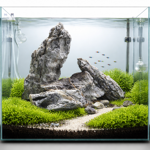 İthal Seiryu Stone 5kg - Akvaryum Dekorasyon Kayası