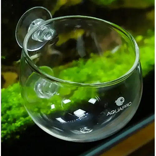 Aquapro Glass Plant Pot Cam Bitki Saksısı