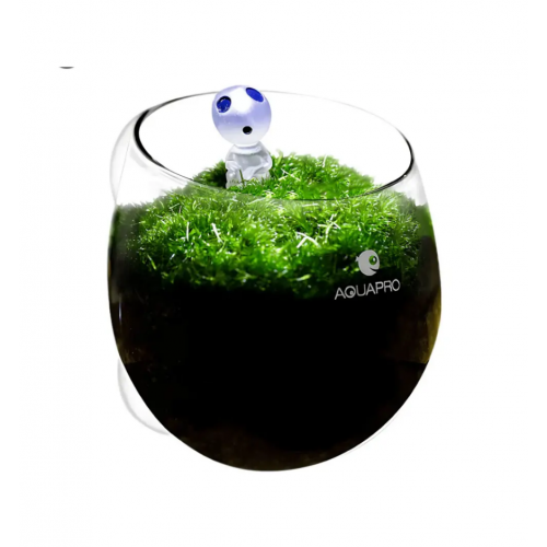 Aquapro Glass Plant Pot Cam Bitki Saksısı