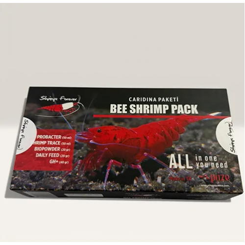 Shrimpsforever Caridina Sp Starter Pack