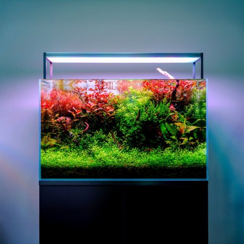 Twinstar 60B Ver. 3.0 – Premium Led Low-Tech WRGB Akvaryum Aydınlatması 60-70cm