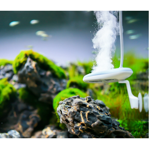 Twinstar Nano Plus Akvaryum Sterilizer (50–250 Litre Alg Önleyici Sistem)