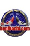 Benibachi