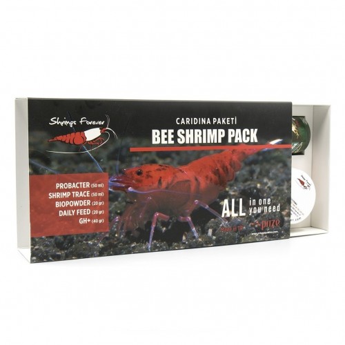 Caridina Sp Starter Pack