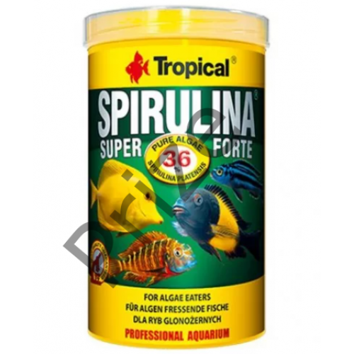 Tropical Super Spirulina Forte 250ml 50gr