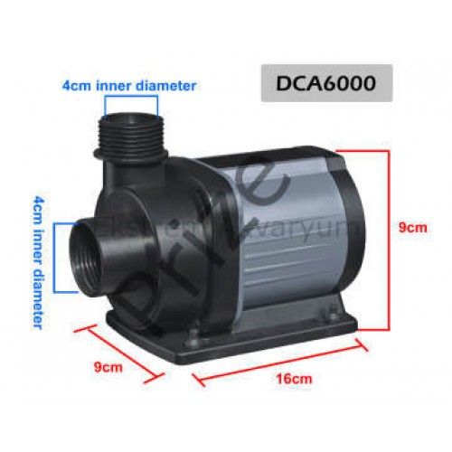 Coral Box - DCA 6000