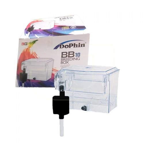 Dophin BB10 Motorlu Yavruluk