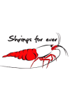 Shrimps Forever