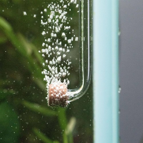 Aquario Neo CO2 Diffuser Normal Tiny – Nano CO2 Difüzyon Çözümü