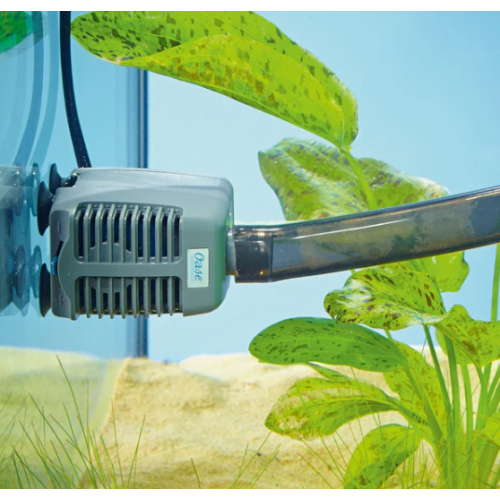 Oase OptiMax 1000 Kafa Motoru 1000 L/H Güçlü Su Dolaşımı