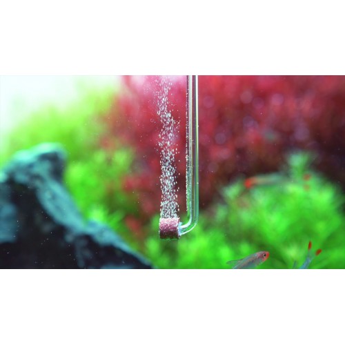 Aquario Neo Co2 Diffuser Tiny Curved S