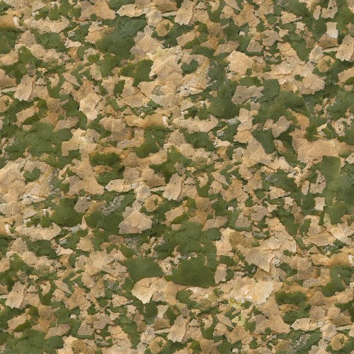 Sera Vipan Nature 250 ml 60 gr – Doğal Günlük Pul Balık Yemi